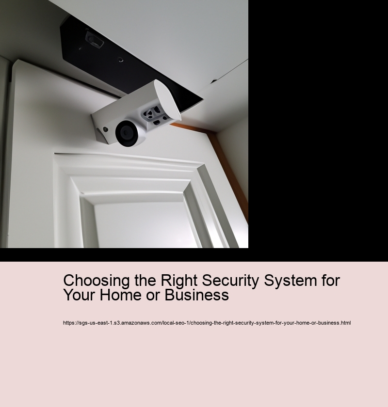 Choosing the Right Security System for Your Home or Business