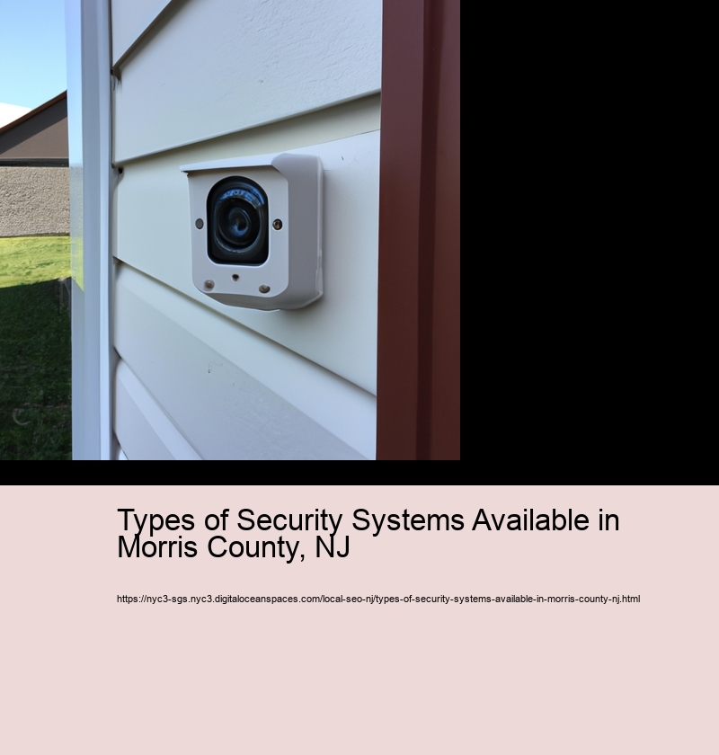 Types of Security Systems Available in Morris County, NJ